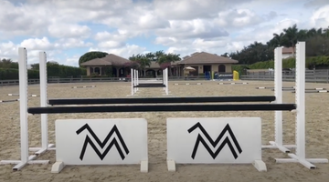 What's in Your Arena? | Megan McDermott