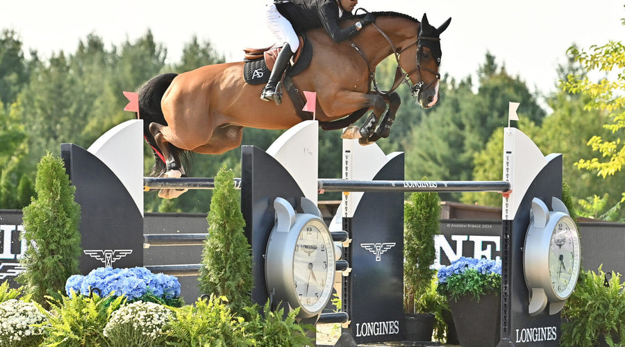 The Best Sponsor Horse Jumps of 2026