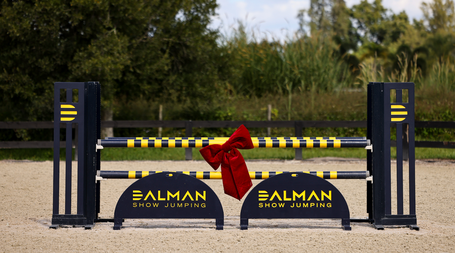 The Best Presents for Equestrians: 2025 & 2026 Holiday Gift Guide