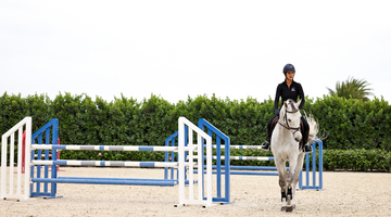 Which Horse Jump Package Best Suits You?