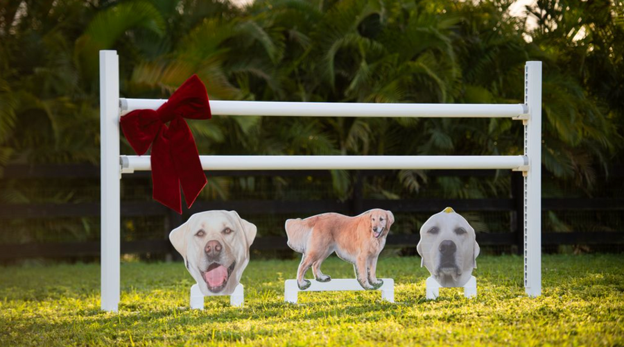 Best Holiday Gifts for Equestrians 2026