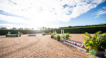 Time to Start Preparing for 2026: Your Ultimate Pony Finals Prep Guide