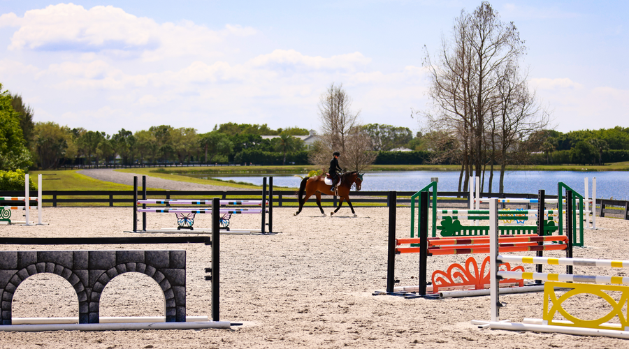 Schooling Ring Inspiration For Your Arena Upgrade