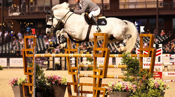 Dalman Jump Co. Partners With Tryon on Brand New Courses