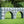Double Arch Equitation Wall