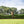 "Fernalicious" Hunter & Equitation Wall (12' Version)