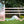 Designer Lite Jump Standards