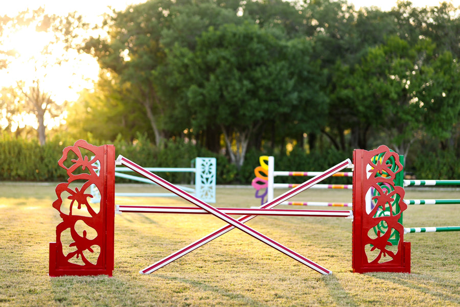 Designer Lite Jump Standards