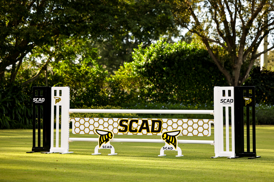 Skinny Logo Standards