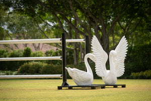 swan 3d horse jump spruce meadows