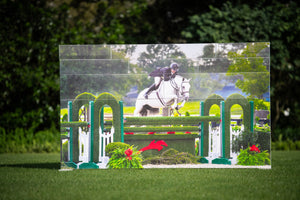 Picture Jumper Walls