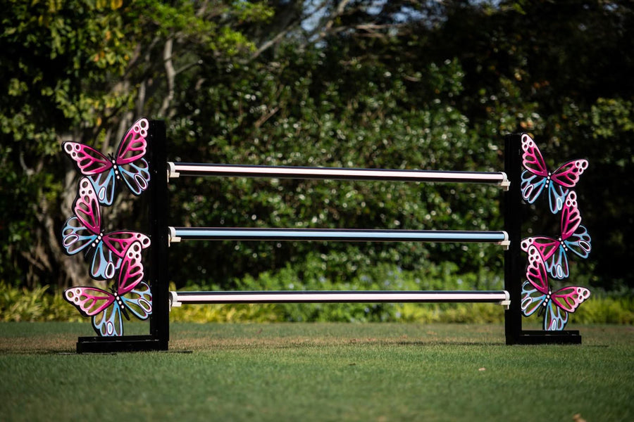 Butterfly Jump Standards