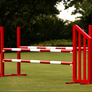 Schooling Jumper Oxer Complete Jump