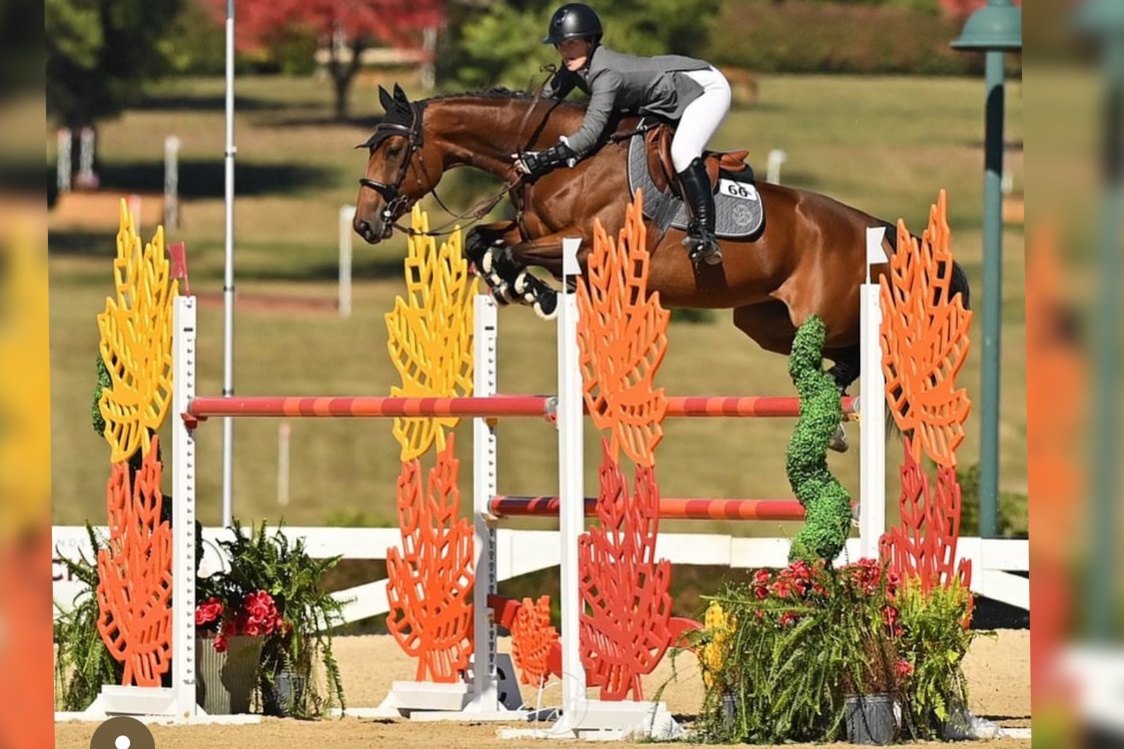 Autumn Leaves Jump Standards