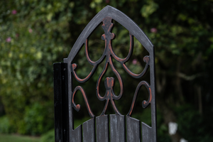 Wrought Iron (Designer Series Standards) from Dalman Jump Co.