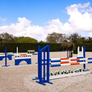 Equitation Ring Jump Package