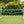 Squares Jumper Gate