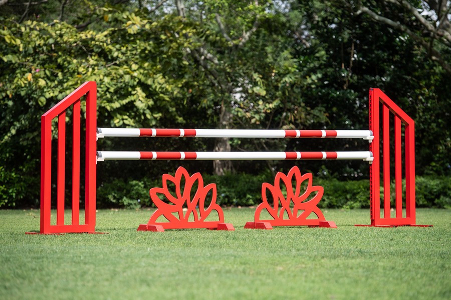 Schooling Jumper Package from Dalman Jump Co.