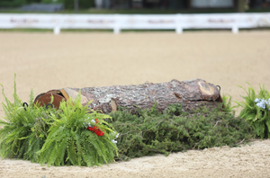 log trot jump for hunter derbies