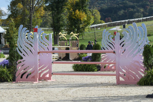 blue and pink ombre horse jump standards with pink jump poles
