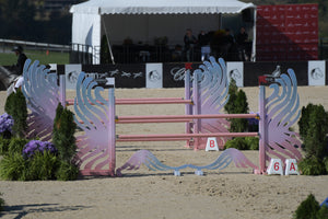 ombre pink and blue horse jump