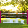 River Fence Jump Filler
