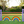 Rainbow Filler Complete Jump