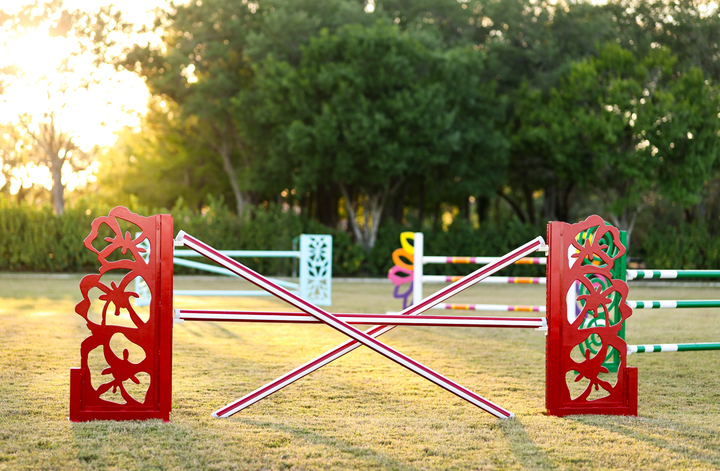 Aloha Designer Lite Jump Standards