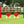 Heart Schooling Jumper Complete Jump