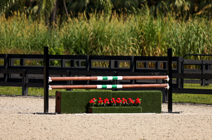 Schooling Jumper & Hunter Complete Jump