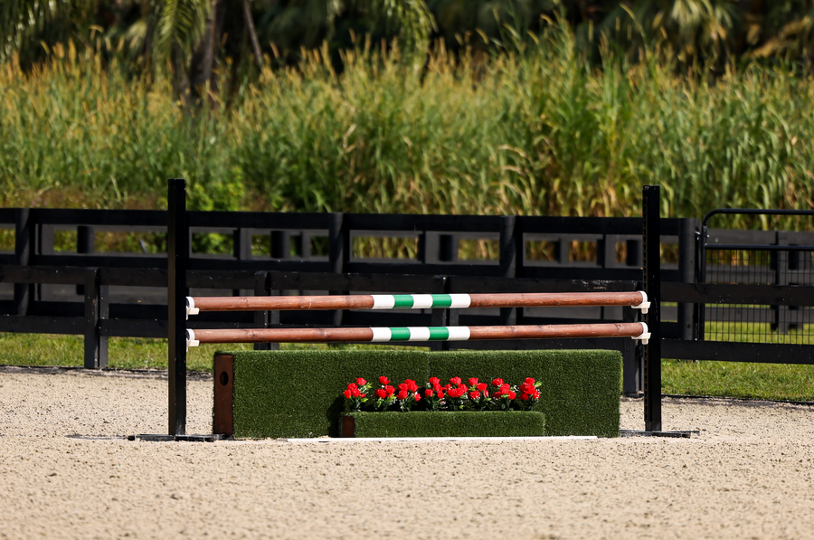 Schooling Jumper & Hunter Complete Jump