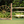 Split Rail hunter jump poles by Dalman Jump Co.