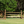 Split Rail poles by Dalman Jump Co.