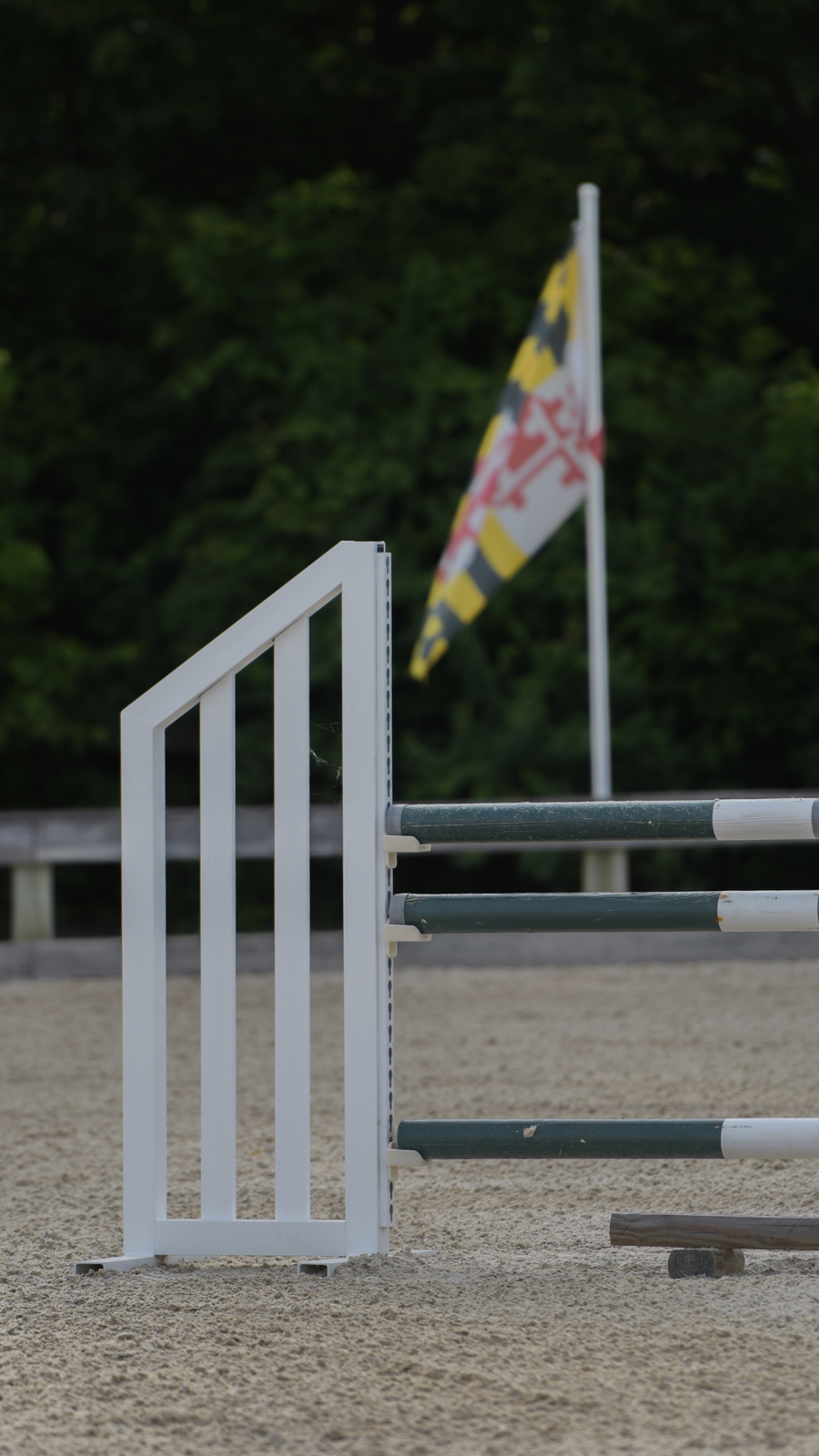 Schooling Jumper Package