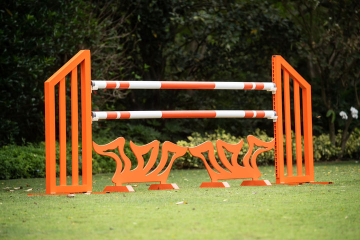 Schooling Jumper Package from Dalman Jump Co.