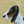 Dog Animal jump fillers by Dalman Jump Co.