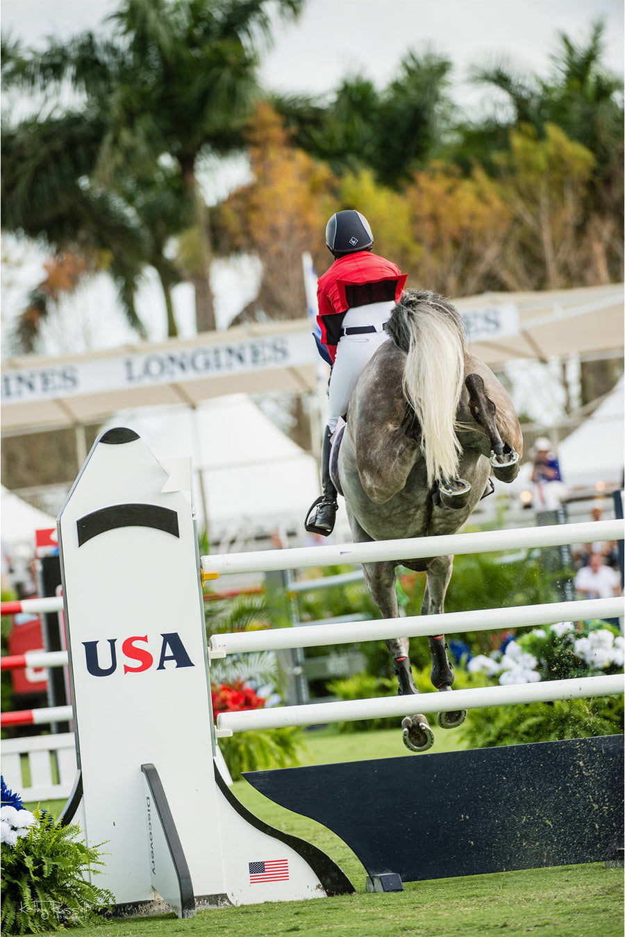 Custom Theme Jump from Dalman Jump Co. - Team USA