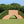 Derby wall from Dalman Jump Co.