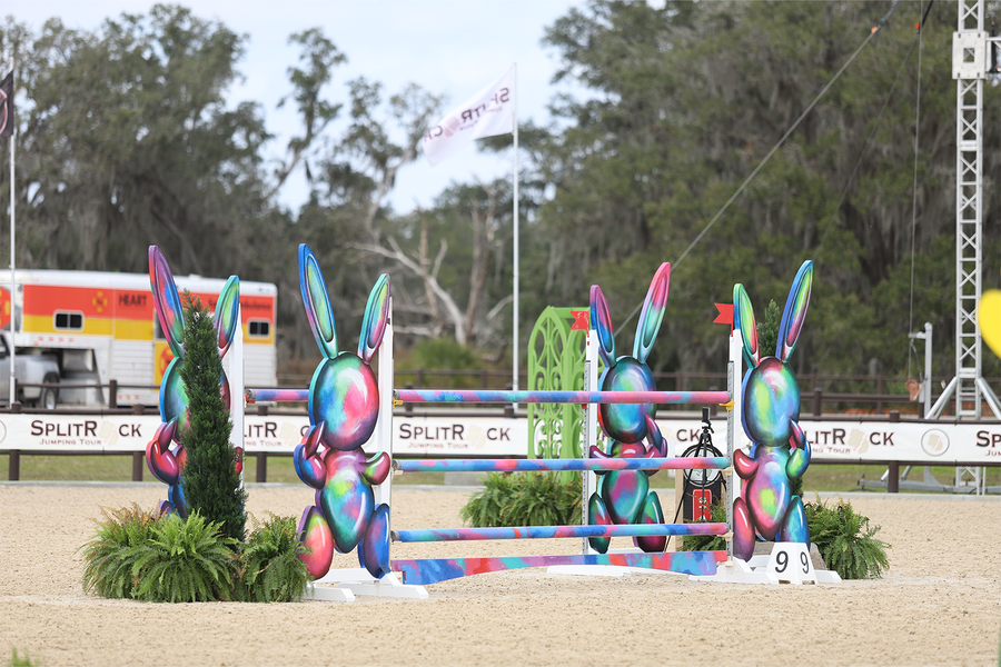 Horse Show Jump from Dalman Jump Co. - Bunny