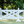 Fence Gate Equitation Jump from Dalman Jump Co.