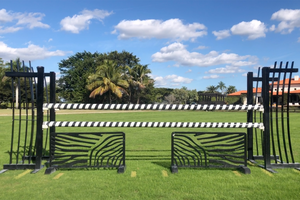Zebra fillers with aluminum fan standards and spiral poles from Dalman Jump Co.