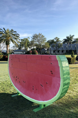 Watermelon themed jumper wall by Dalman Jump Co.