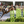 Horse Show Jump by Dalman Jump Co. - Green Pillars