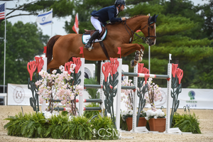 Horse Show Jump by Dalman Jump Co.