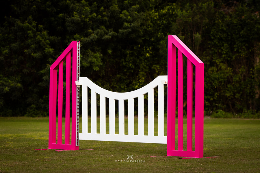 Pink Aluminum Picket Wing Standards with skinny riviera gate by Dalman Jump Co.
