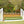 Hunter turf wall from Dalman Jump Co.