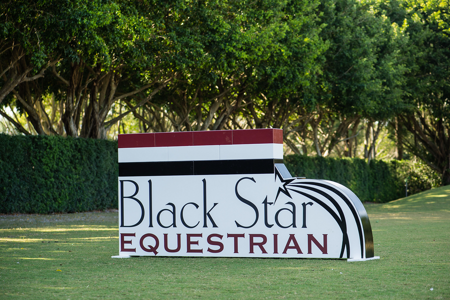 Logo Jumper Wall from Dalman Jump Co. - Black Star Equestrian