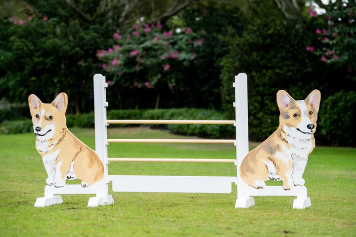 Kid Jump from Dalman Jump Co. - Corgis