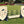 Dalman Jump Co.'s kid jumps