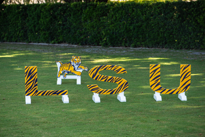 LSU Sports-themed jump fillers from Dalman Jump Co.